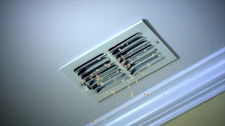 Best Affordable Air Duct Cleaning  in Bellair Meadowbrook Terrace, FL
