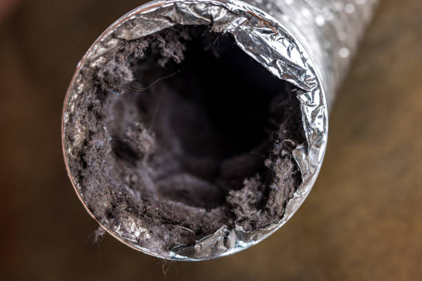 Best Home Air Vent Cleaning  in Bellair Meadowbrook Terrace, FL